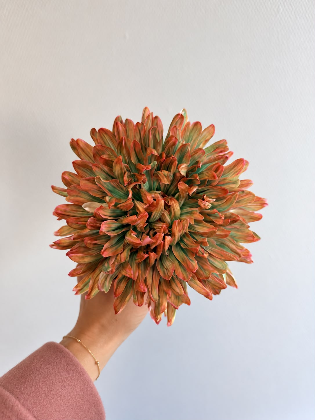 Modern chrysanthemums: how to style a statement bouquet without greenery
